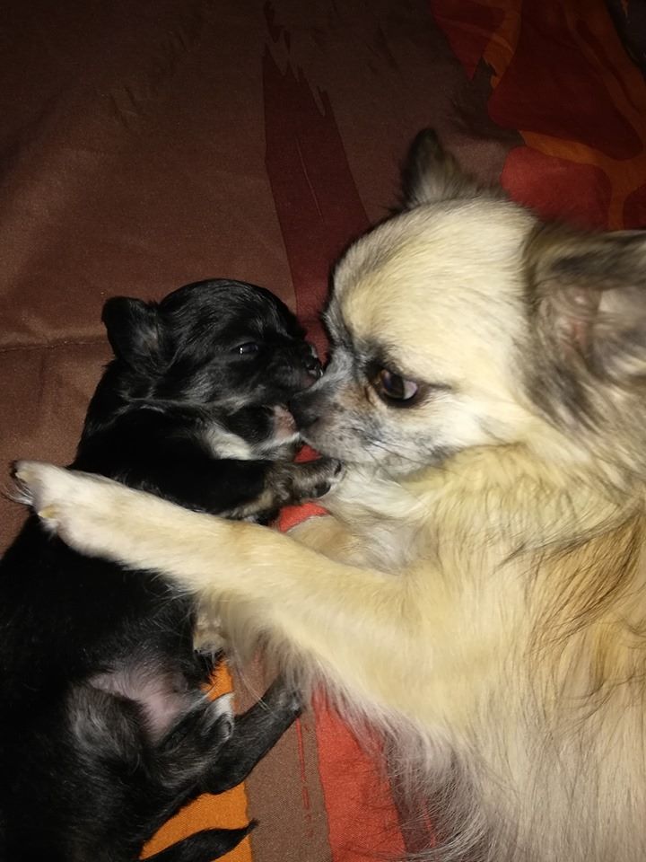 portée du 25/06/2019